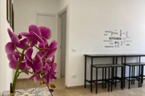 A Casa di Amici 2